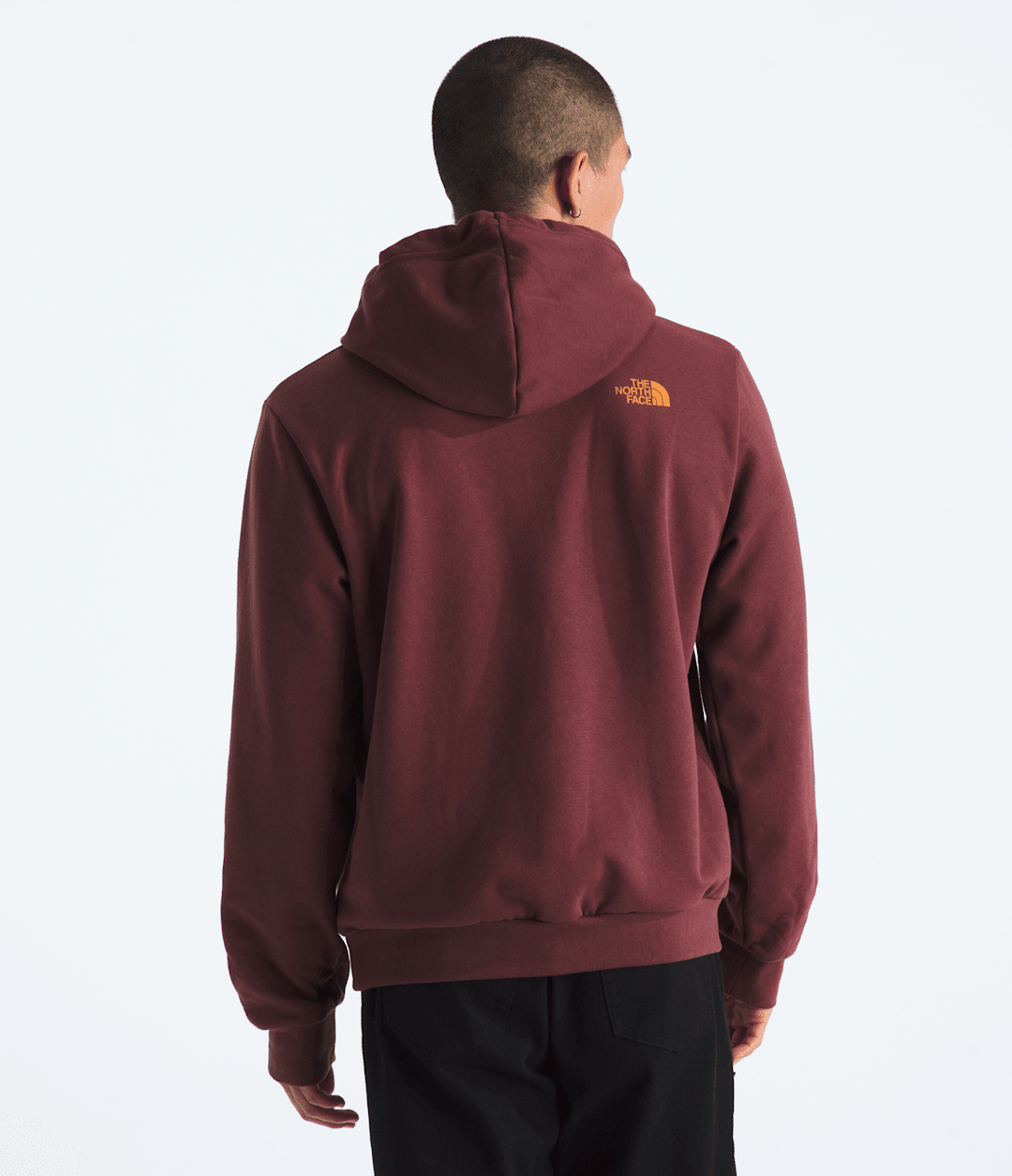 Men’s Evolution TNF™ MTN Hoodie—Graphic - The North Face