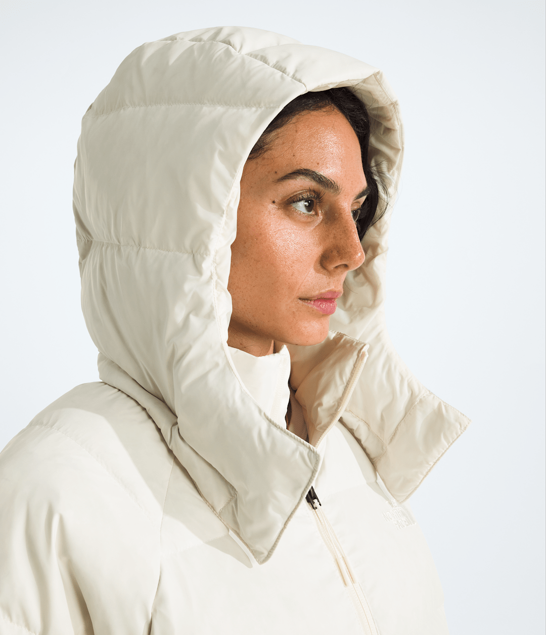 Women’s Hydrenalite™ City Down Hooded Parka - The North Face