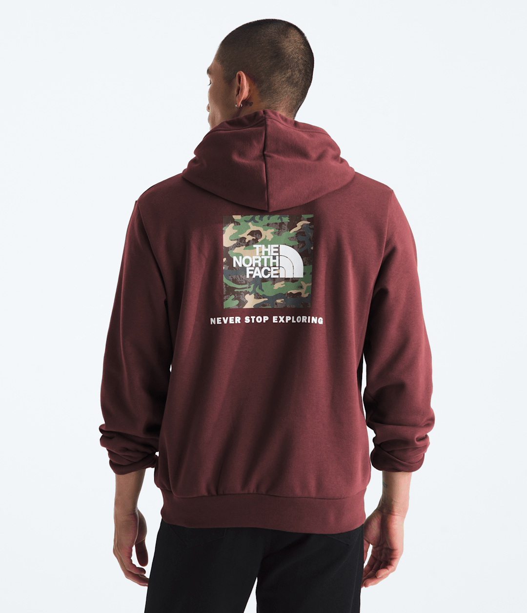 Men’s Evolution Box Camo Fill Hoodie—Graphic - The North Face