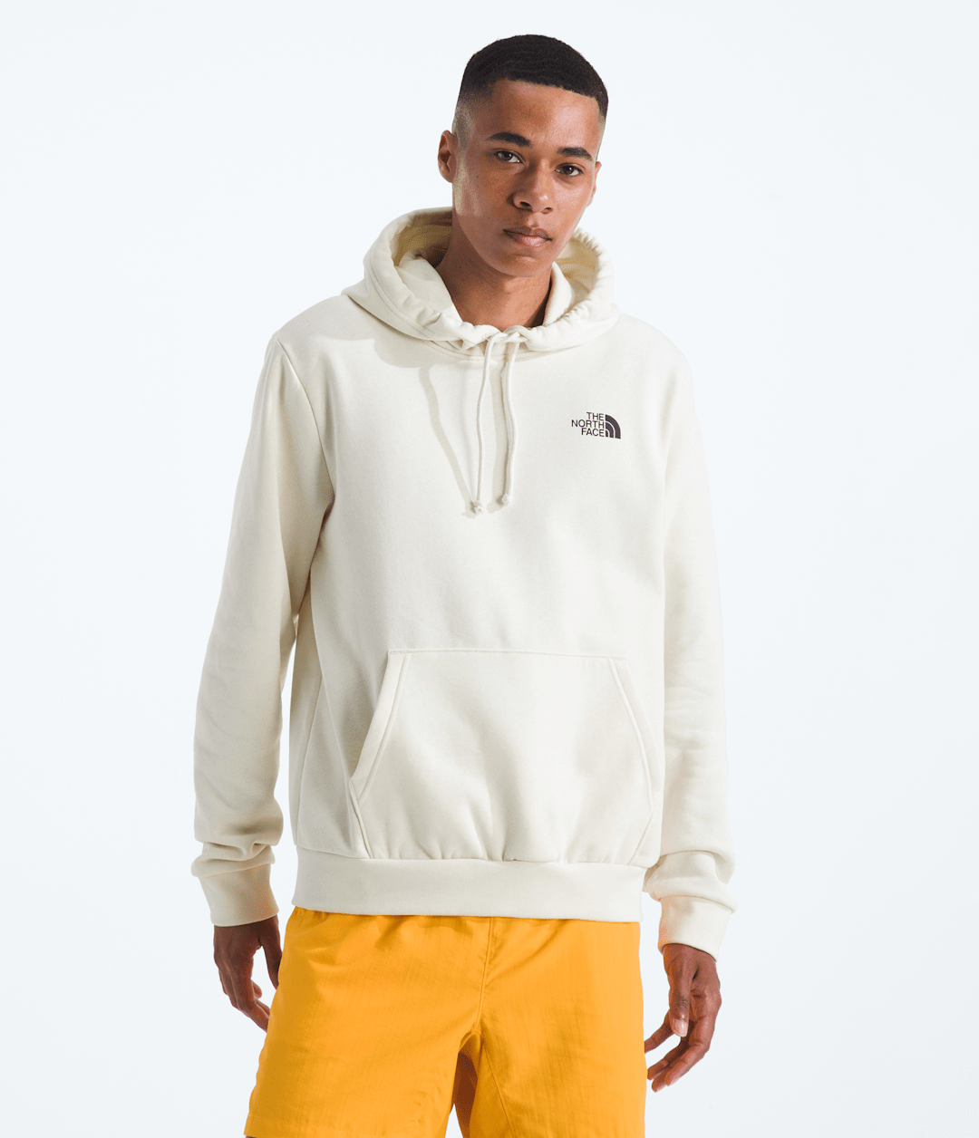 Men’s Evolution Van Life Hoodie—Graphic - The North Face