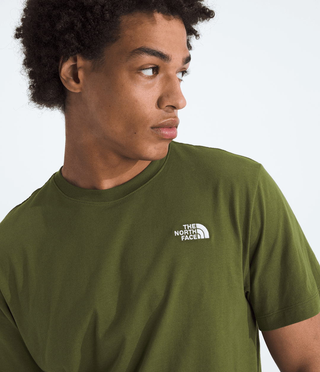 Men’s Evolution Simple Dome Regular Short-Sleeve Tee - The North Face