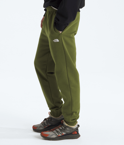 Men’s Evolution Simple Dome Regular Joggers - The North Face