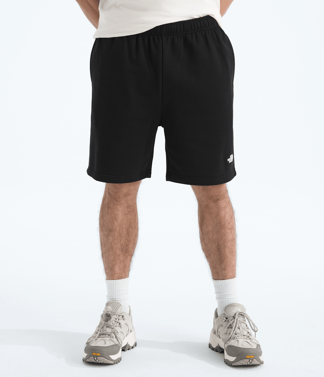 Men’s Evolution Simple Dome Regular Shorts - The North Face