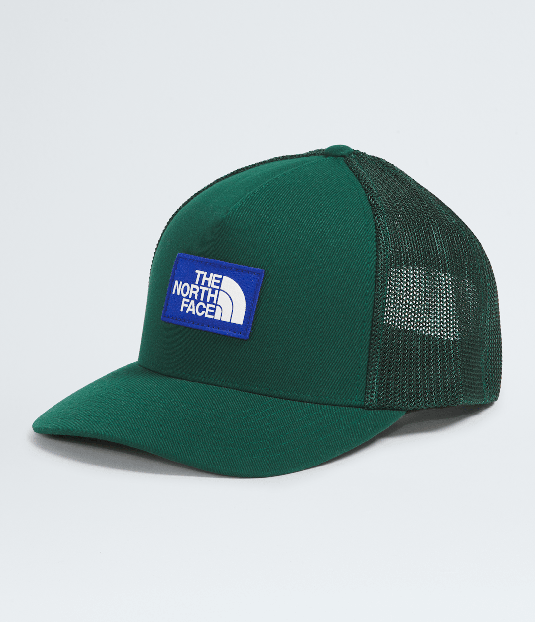Keep It Patched Trucker Hat - The North Face