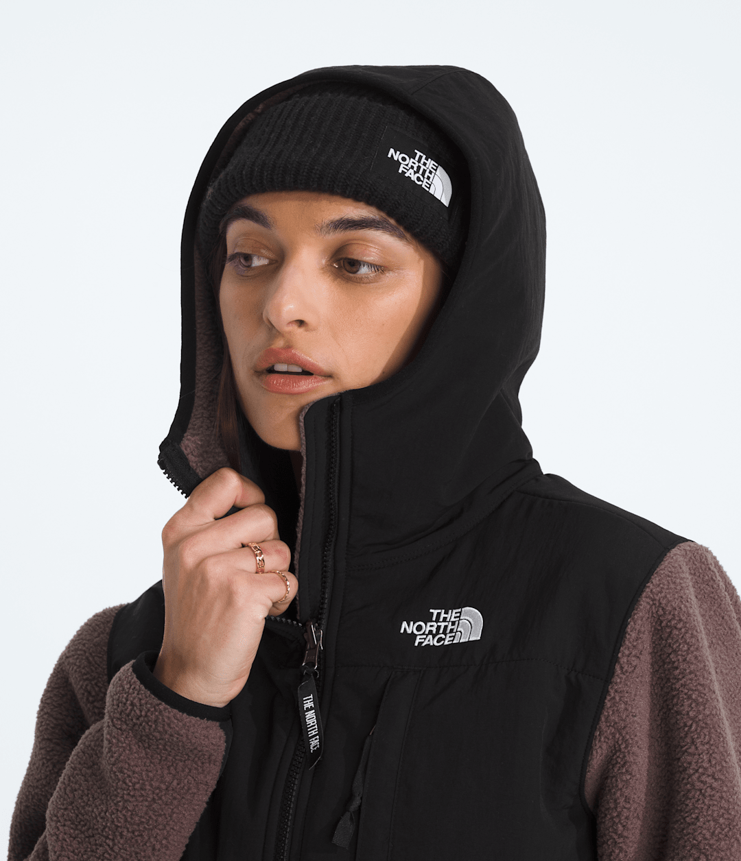 Women’s Retro Denali Hoodie - The North Face