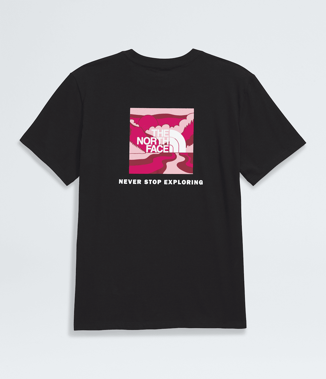 Women's Short-Sleeve Core Outdoor Valley Box NSE Tee - The North Face