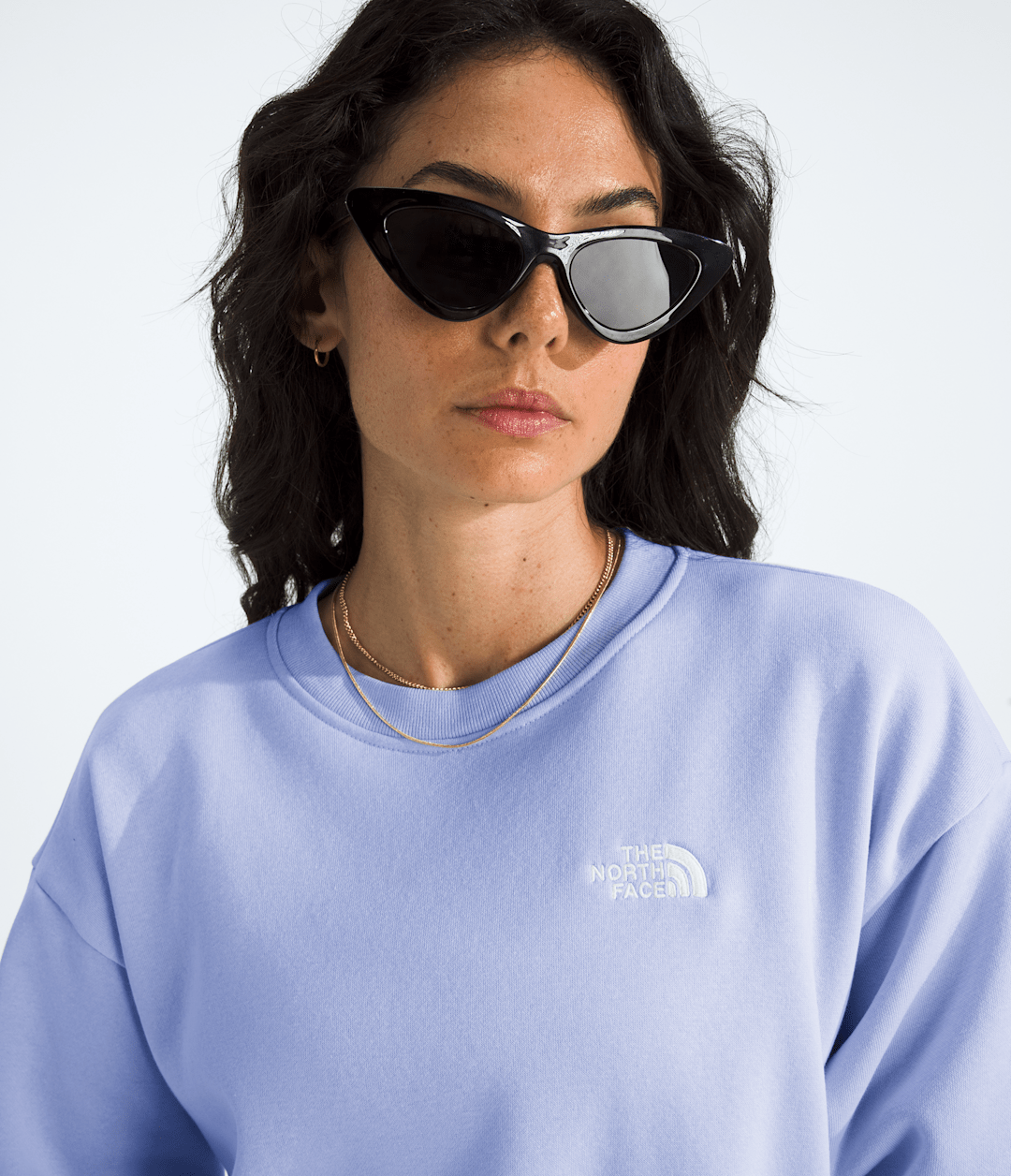 Women’s Evolution Simple Dome Oversized Crew - The North Face