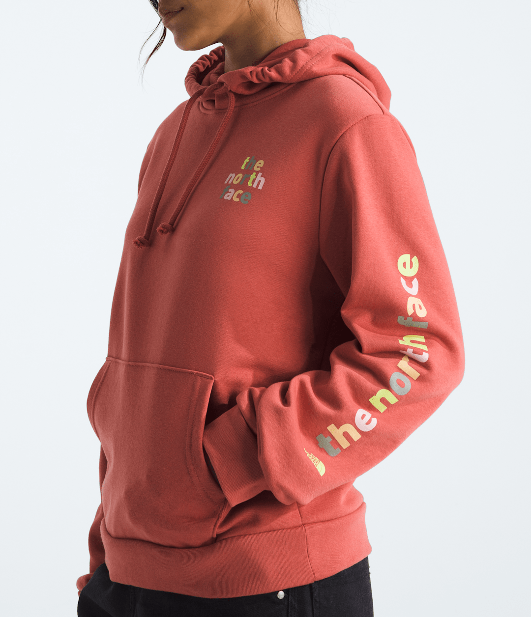 Women’s Evolution Proud Hoodie—Graphic - The North Face