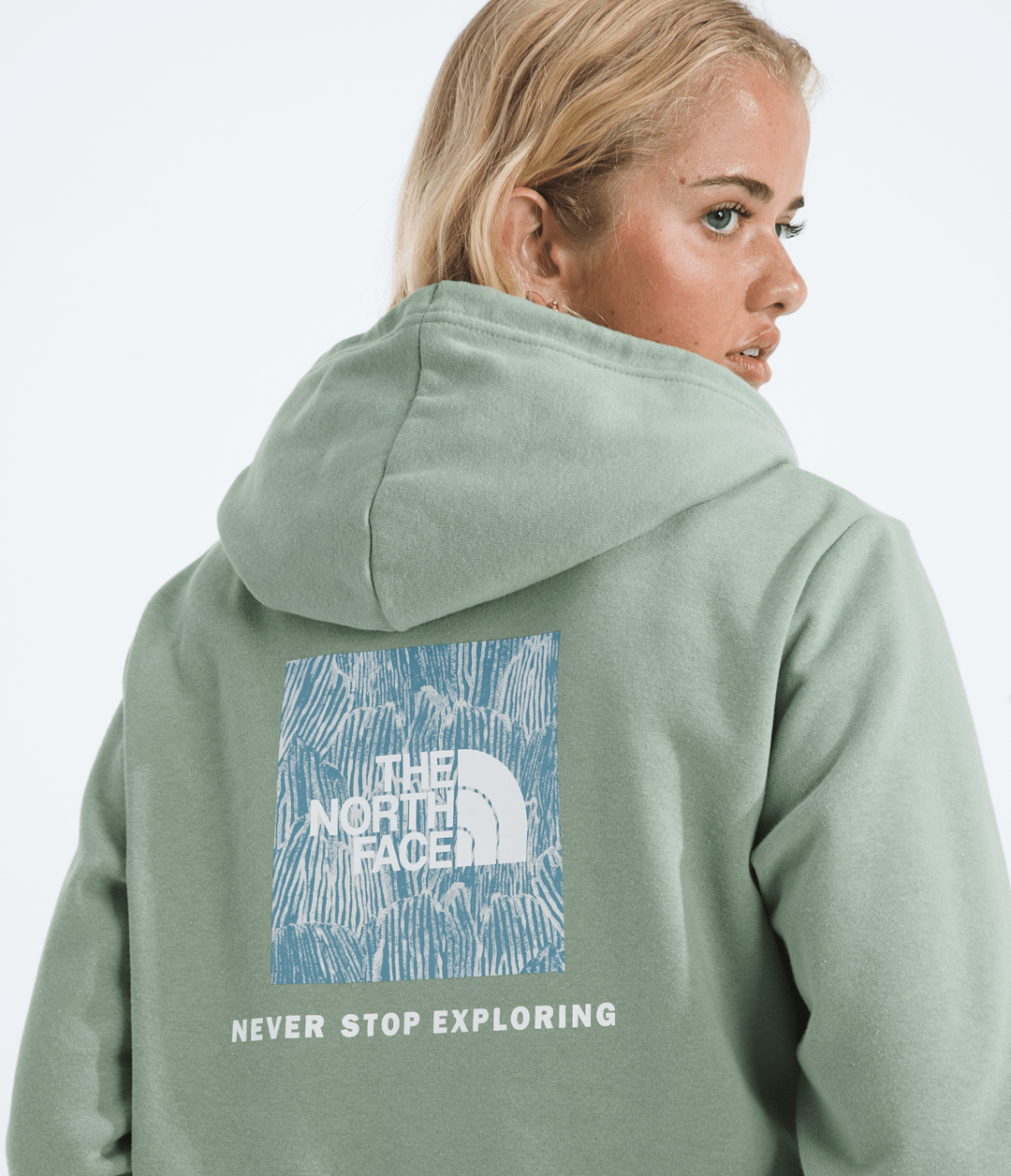 Women’s Evolution Box NSE Fill Hoodie—Graphic - The North Face