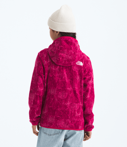 Boys’ & Girls’ Glacier Full-Zip Hoodie—Print - The North Face