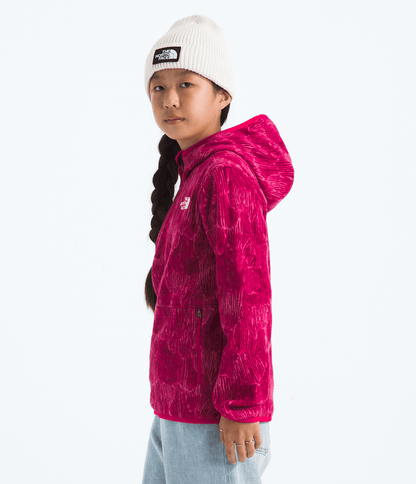 Boys’ & Girls’ Glacier Full-Zip Hoodie—Print - The North Face