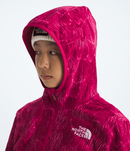 Boys’ & Girls’ Glacier Full-Zip Hoodie—Print - The North Face