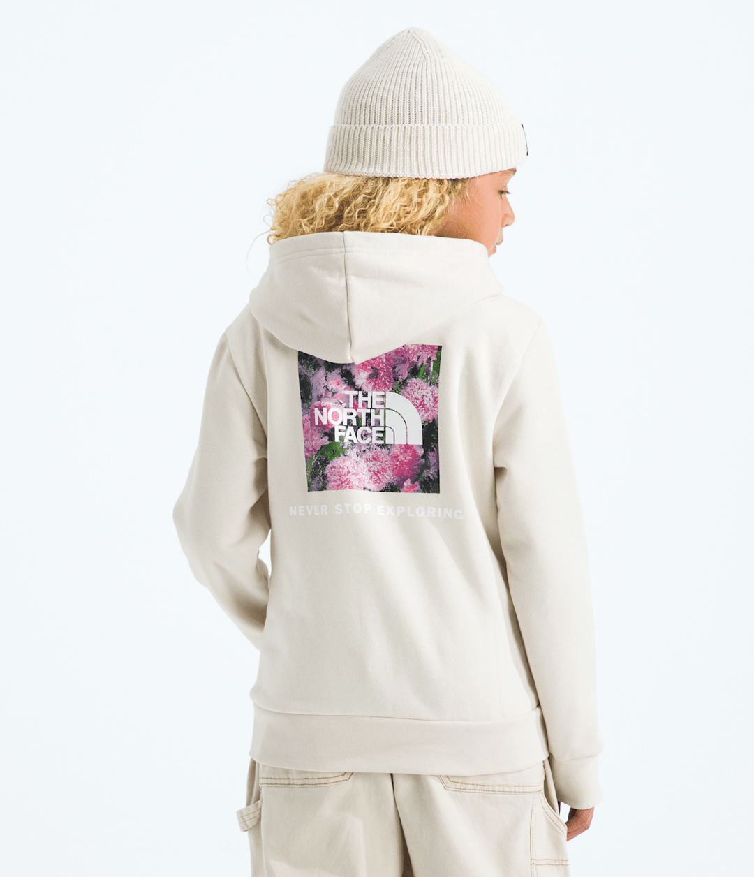 Boys’ & Girls’ Evolution Box NSE Pullover Hoodie—Graphic - The North Face