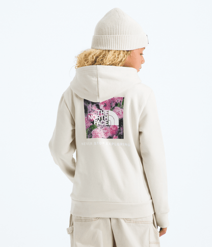 Boys’ & Girls’ Evolution Box NSE Pullover Hoodie—Graphic - The North Face