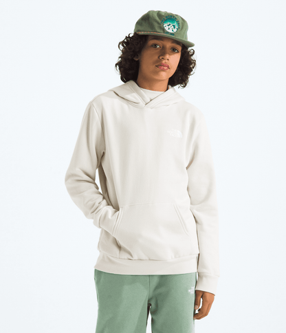 Boys’ & Girls’ Evolution Box NSE Pullover Hoodie—Graphic - The North Face