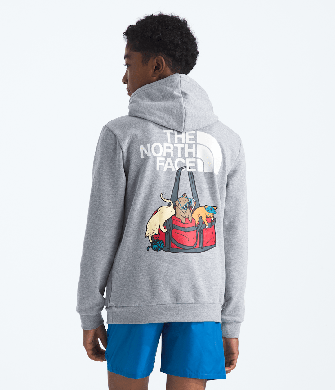 Boys’ & Girls’ Ember Fade Regular Hoodie - The North Face