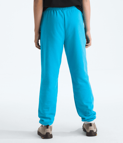 Boys’ & Girls’ Evolution Simple Dome Pants - The North Face