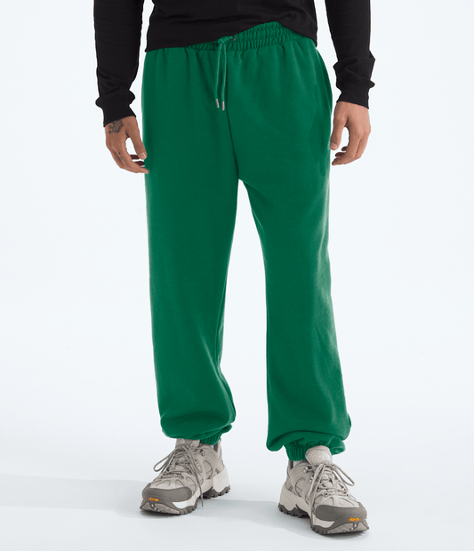Men’s TNF™ Essential Simple Dome Relaxed Pants - The North Face
