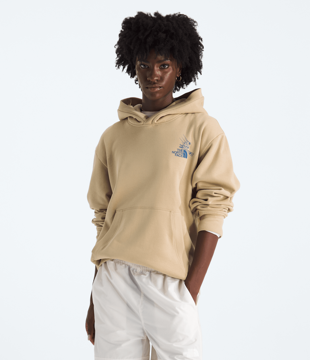 Unisex Mountain Celebration Relaxed Hoodie—Graphic - The North Face