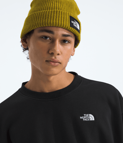Men’s Evolution Simple Dome Oversized Crew - The North Face