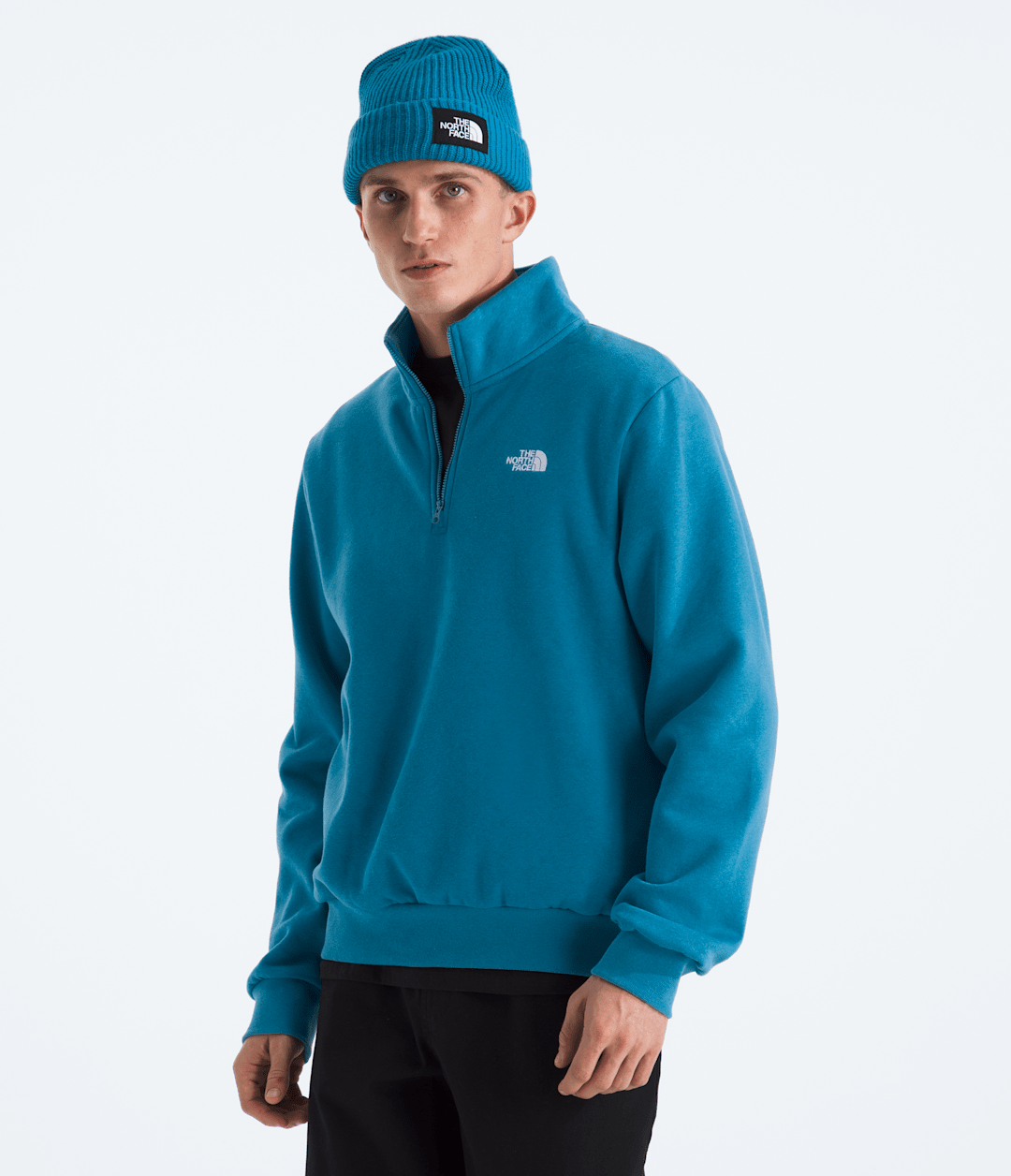 Men’s Evolution Simple Dome Regular ¼-Zip - The North Face