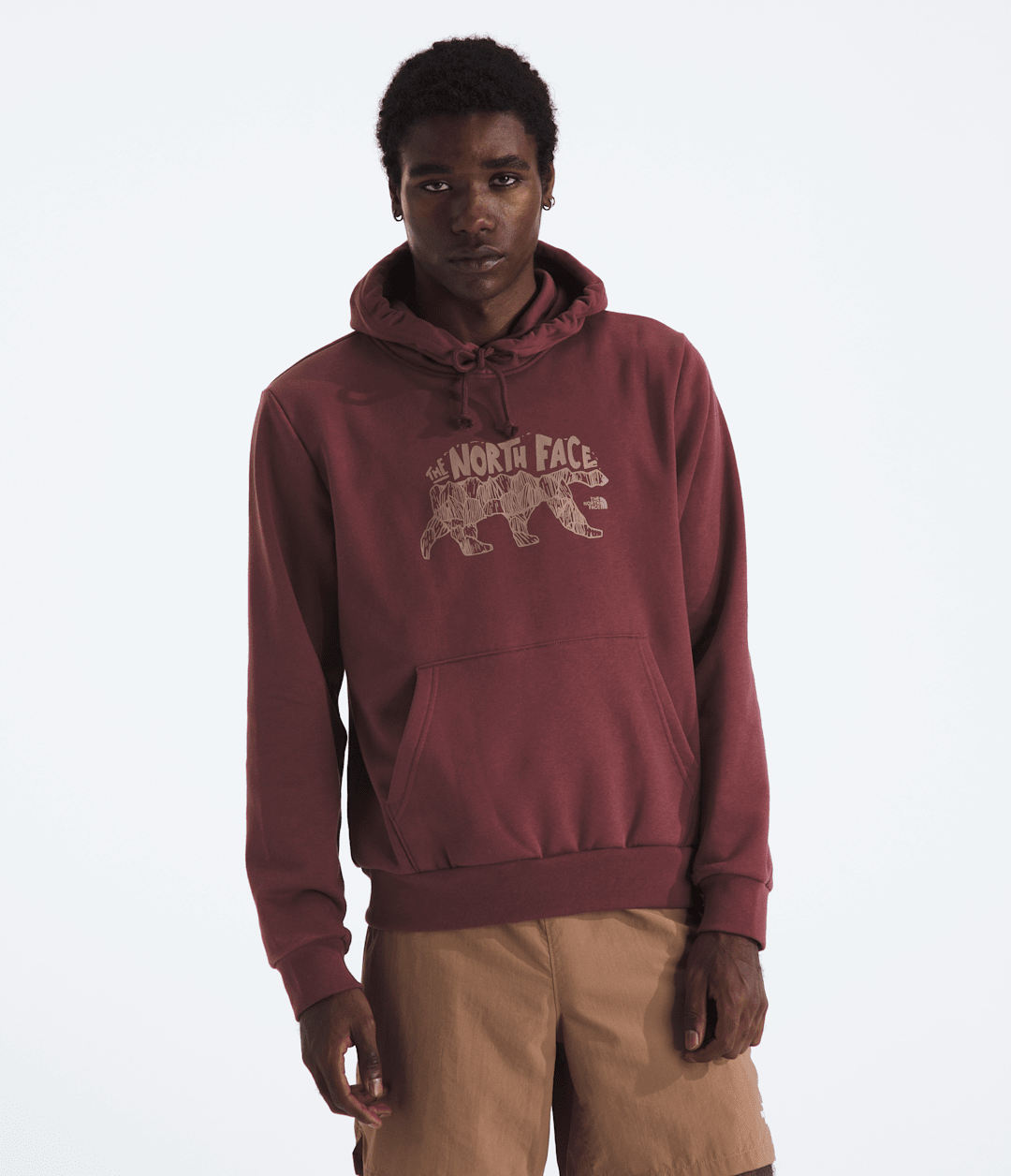 Men’s Evolution TNF™ Bear Hoodie—Graphic - The North Face