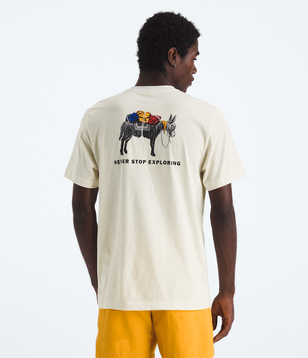 Men’s Evolution Pack Short-Sleeve Tee—Graphic - The North Face