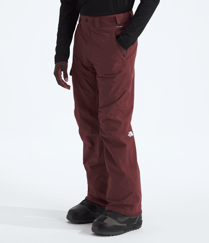 Men’s Freedom Pants - The North Face