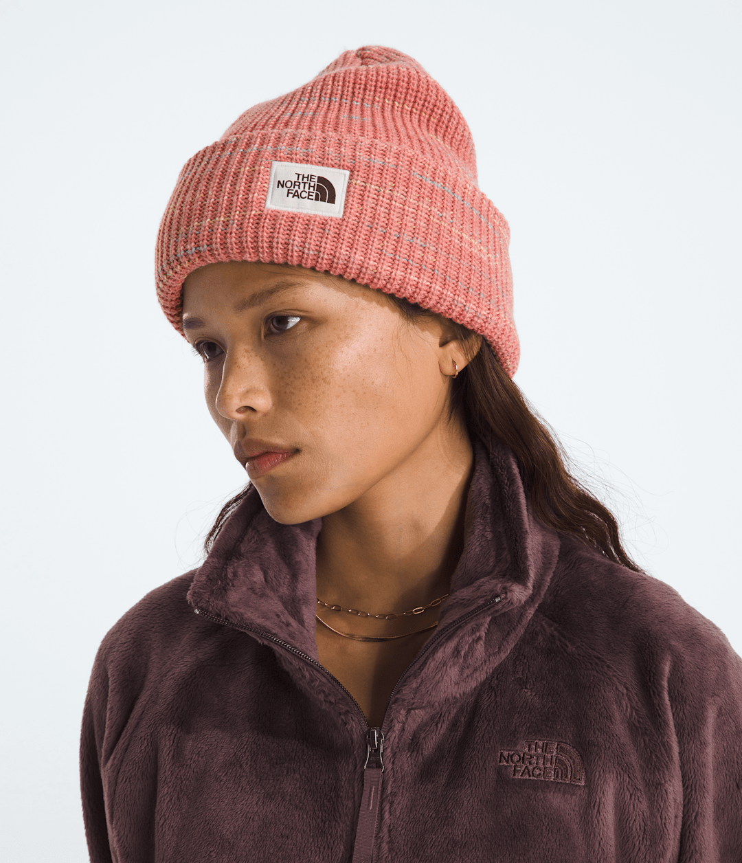 Salty Bae Lined Beanie - The North Face
