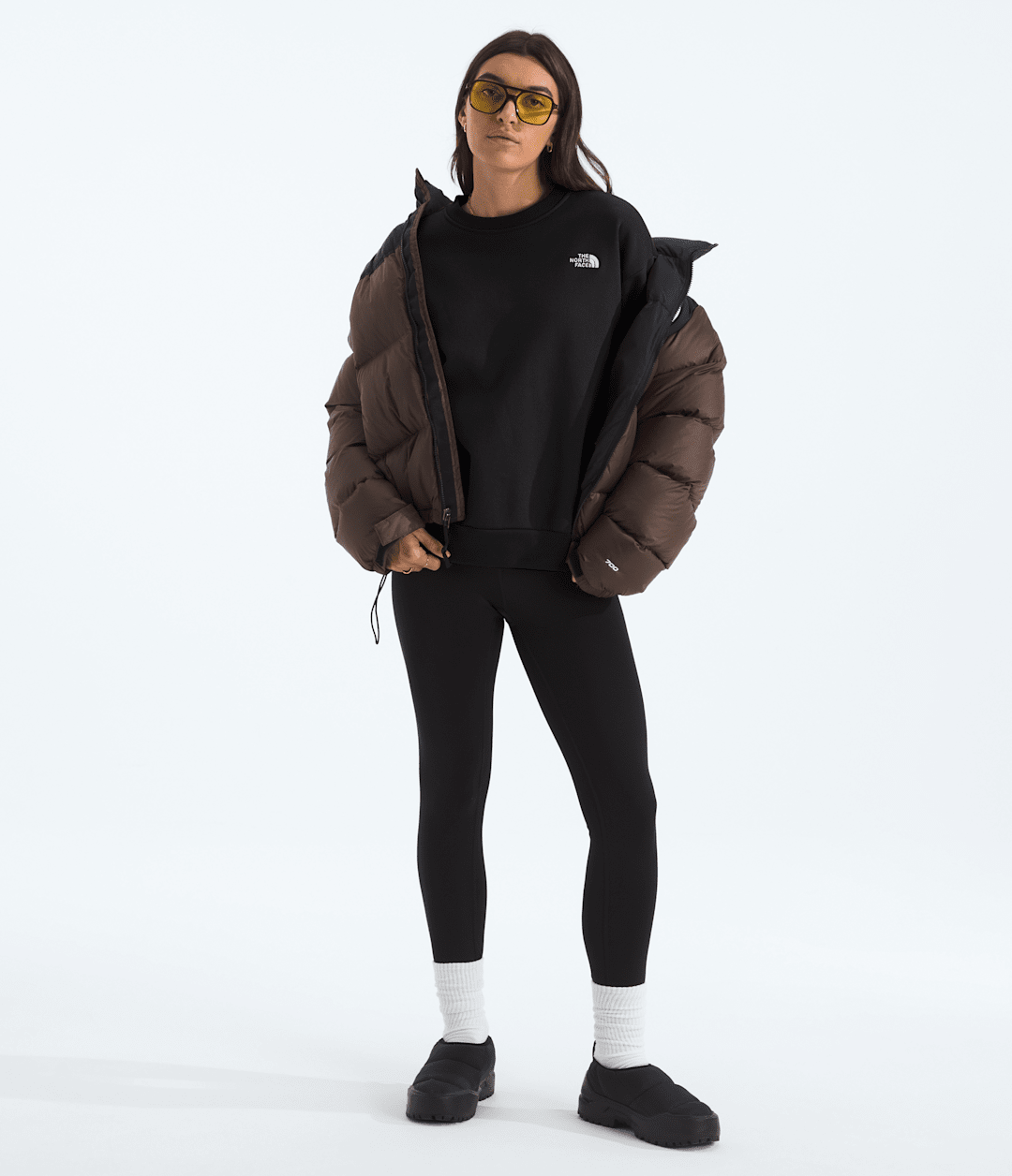Women’s Evolution Simple Dome Oversized Crew - The North Face