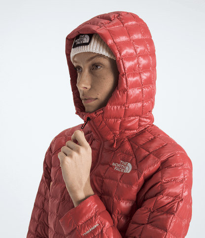 Women’s THERMOBALL™ Hooded Jacket - The North Face
