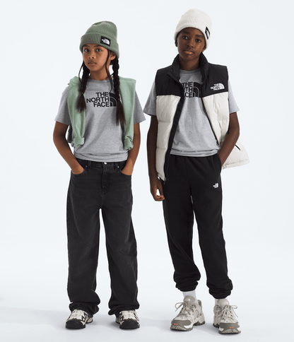 Boys’ & Girls’ Evolution Half Dome Short-Sleeve Tee - The North Face
