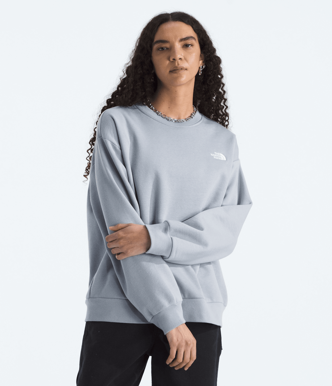 Women’s Evolution Simple Dome Oversized Crew - The North Face