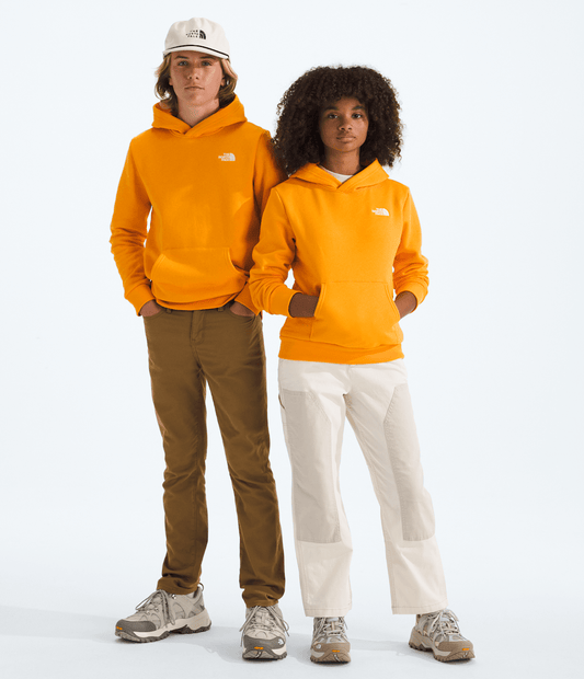 Boys’ & Girls’ Evolution Simple Dome Pullover Hoodie - The North Face
