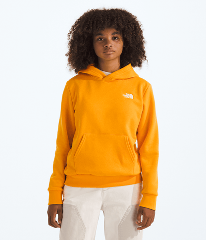 Boys’ & Girls’ Evolution Simple Dome Pullover Hoodie - The North Face