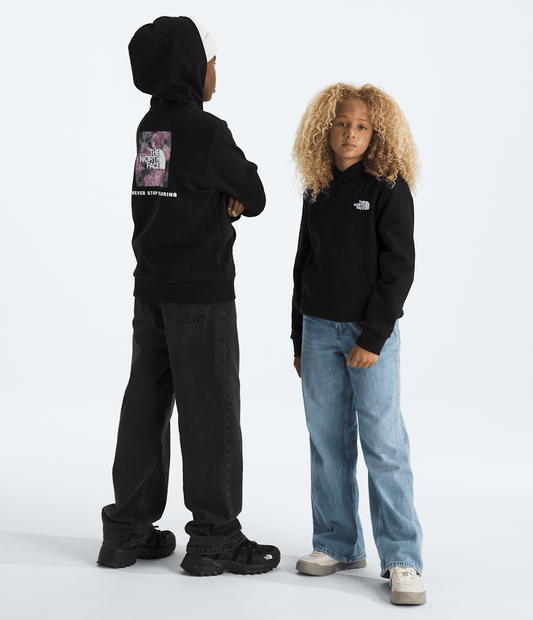 Boys’ & Girls’ Evolution Box NSE Pullover Hoodie—Graphic - The North Face