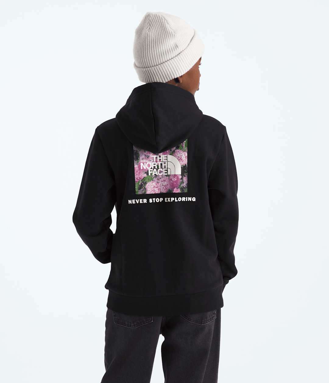 Boys’ & Girls’ Evolution Box NSE Pullover Hoodie—Graphic - The North Face