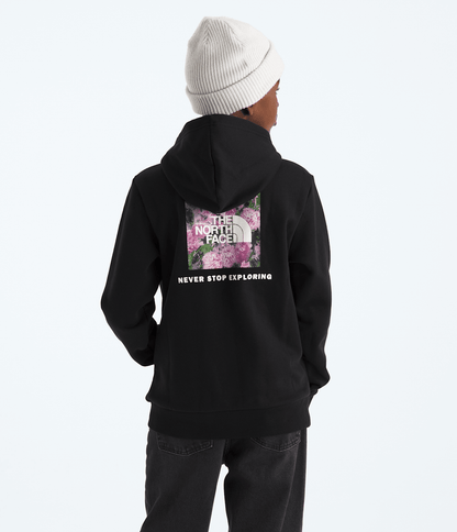 Boys’ & Girls’ Evolution Box NSE Pullover Hoodie—Graphic - The North Face