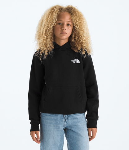 Boys’ & Girls’ Evolution Box NSE Pullover Hoodie—Graphic - The North Face