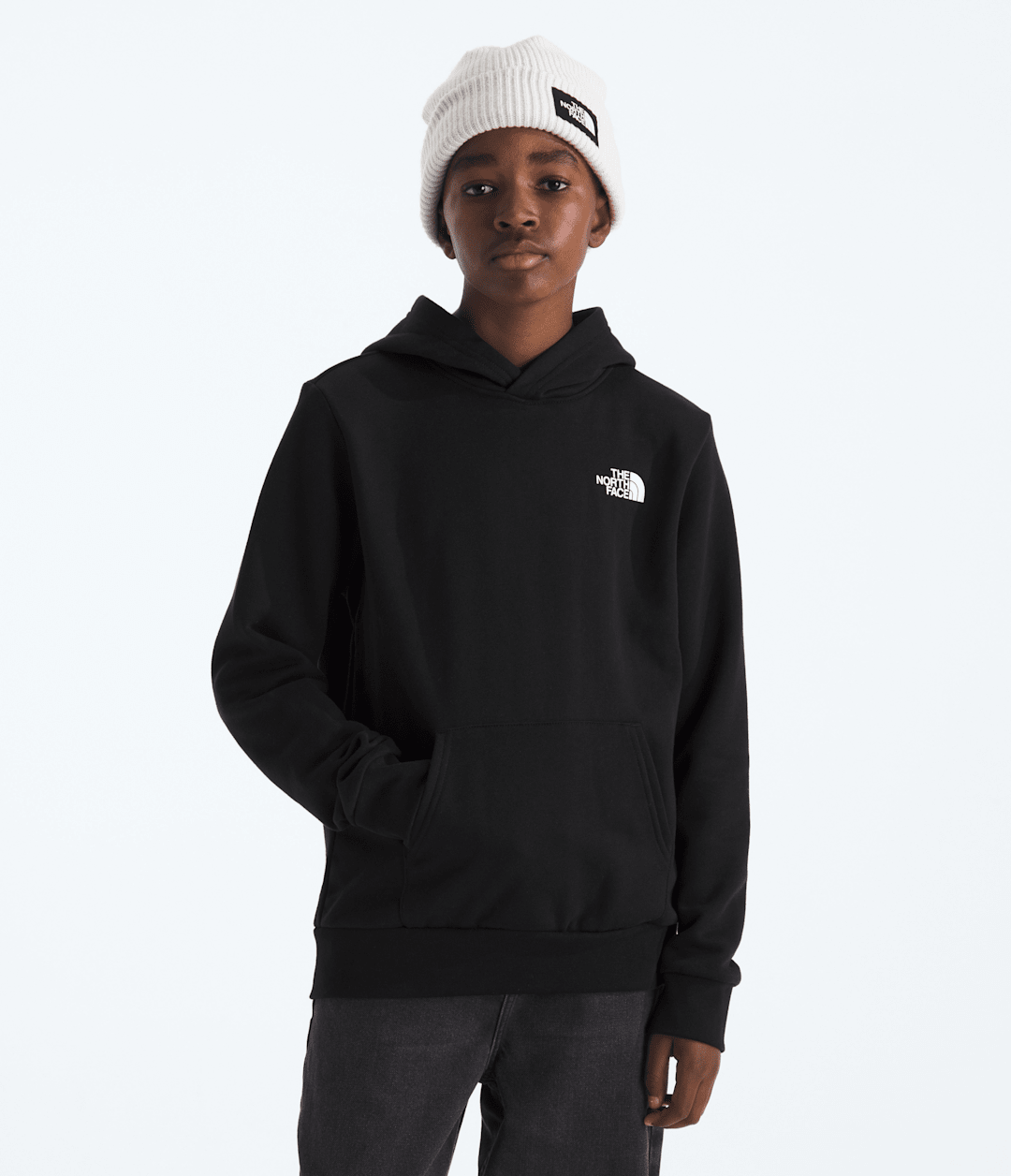 Boys’ & Girls’ Evolution Box NSE Pullover Hoodie—Graphic - The North Face