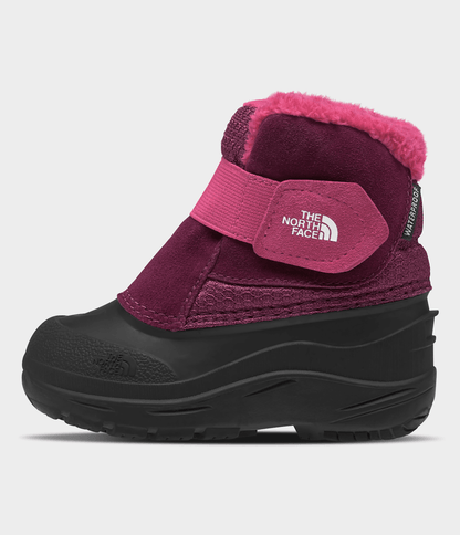 Toddler Alpenglow II Boots - The North Face